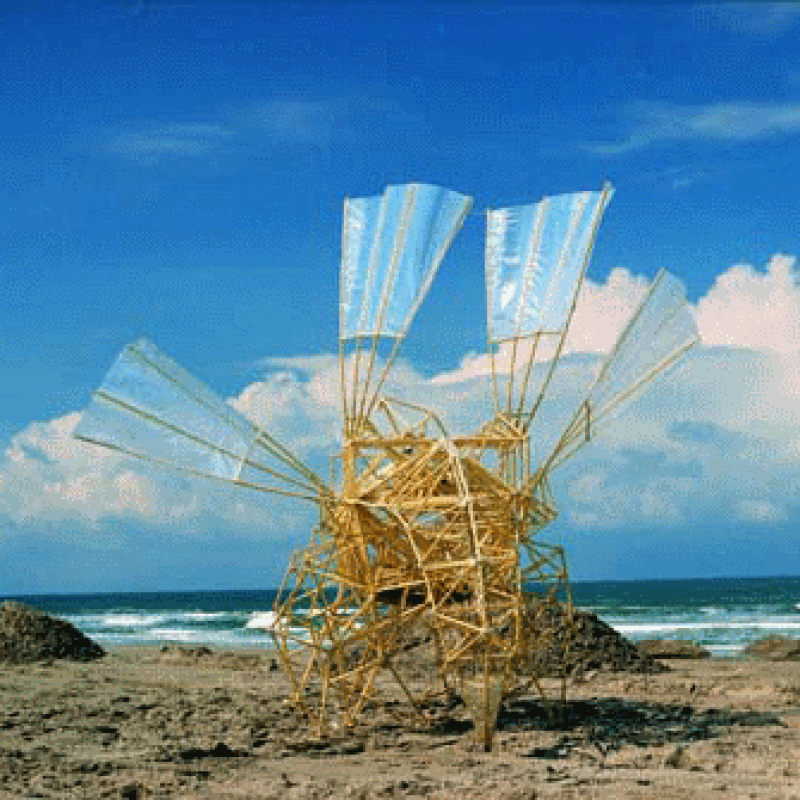 Strandbeest