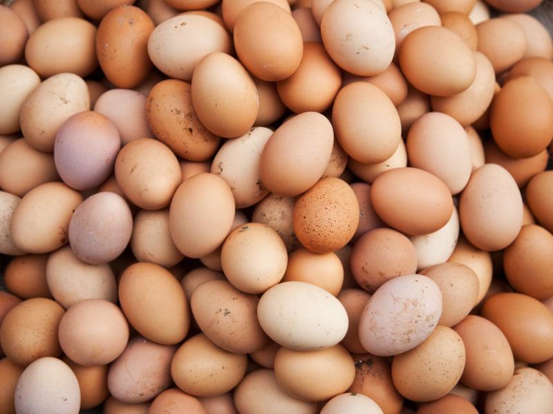 Rose Acre Farms Recalls Shell Eggs Due to Possible Health Risk