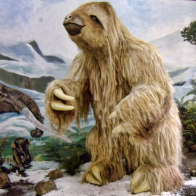 Footprints prove humans hunted giant sloths during the Ice Age