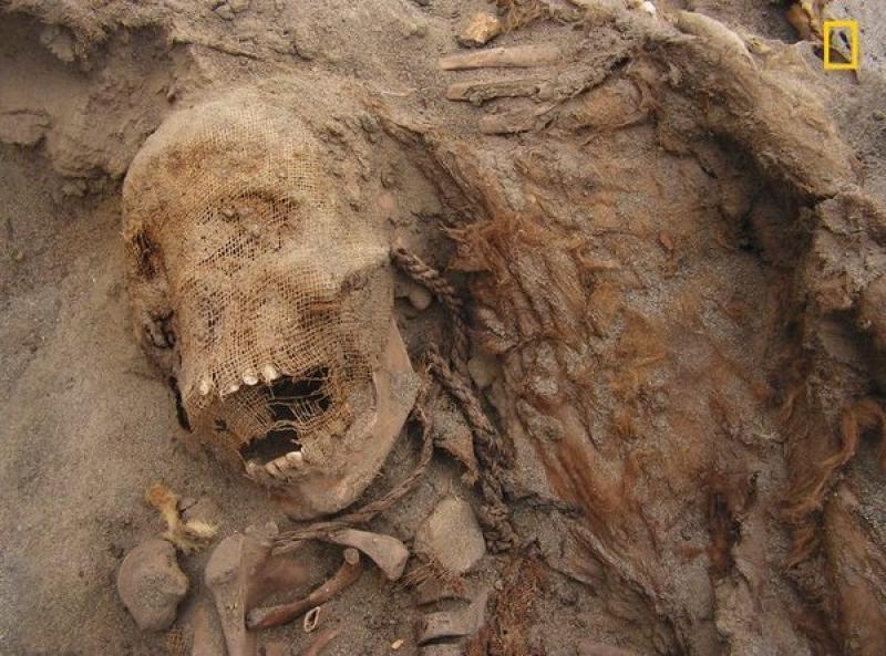 Largest known child sacrifice site discovered in Peru