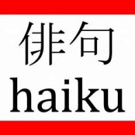 Write a haiku poem