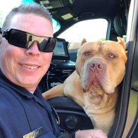 Police Respond to Warning Call About 'Pit Bull' and Make a New Best Friend 