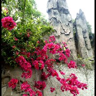 Another Amazingly Beautiful Chongqing Park - A Photo Essay