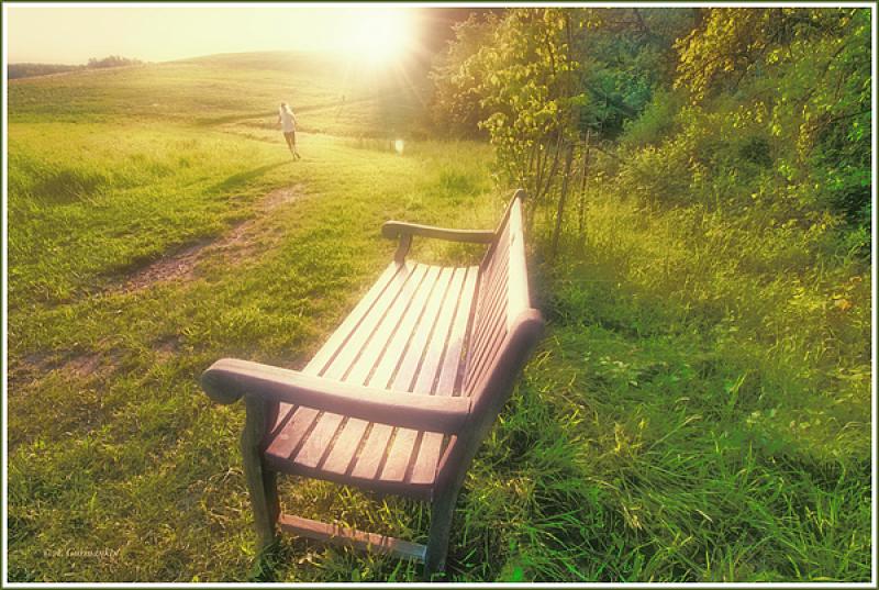 Ease on Up the Road … Or … Jog Past the Bench and Towards the Setting Sun