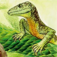 Oldest Lizard Fossil Shows These Reptiles Are The Ultimate Survivors
