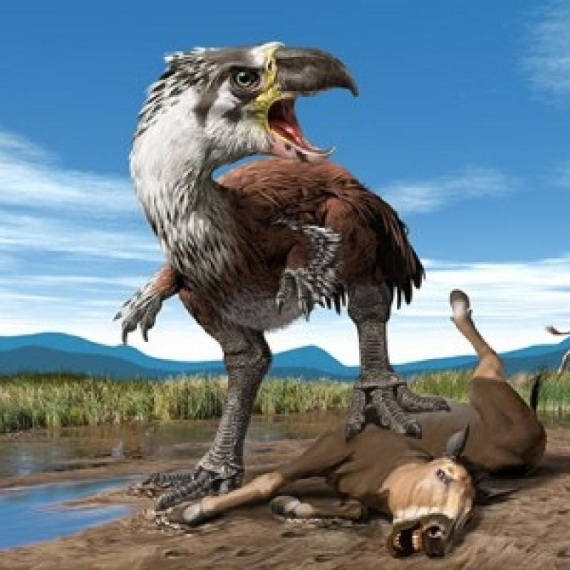 How birds may have escaped the dino-killing asteroid impact