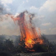 Israel: Massive flaming kite-caused fire rips through southern forest