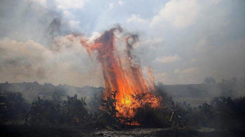 Israel: Massive flaming kite-caused fire rips through southern forest