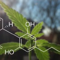  CBD: Everything You Need To Know About Cannabidiol 