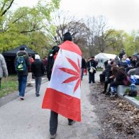 Canada's House of Commons votes to legalize marijuana