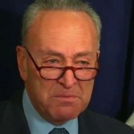 Sen. Chuck Schumer and Dems Will Oppose Any Law Stopping Child Separation At Border