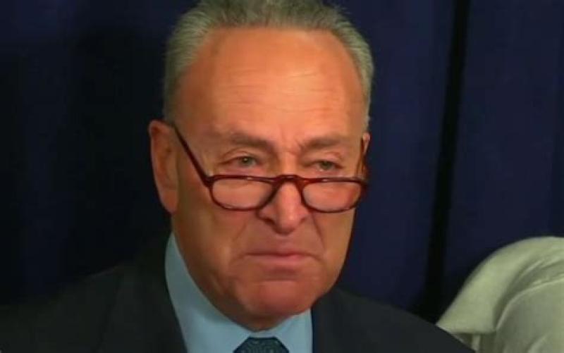Sen. Chuck Schumer and Dems Will Oppose Any Law Stopping Child Separation At Border