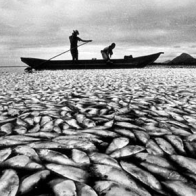 'God wants you to act on what's in front of you': enforcing conservation law in the Coral Triangle