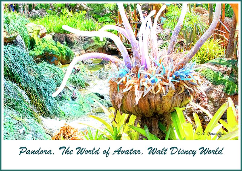 If You Haven't Seen the Film, "Avatar," or, Been to Walt Disney World Recently …