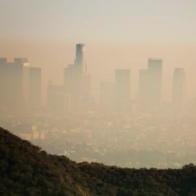 California Strikes Back Against the Trump Administration’s Auto Pollution Rollback