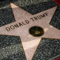 After Being Destroyed, Trump's Walk of Fame Star Multiplies 