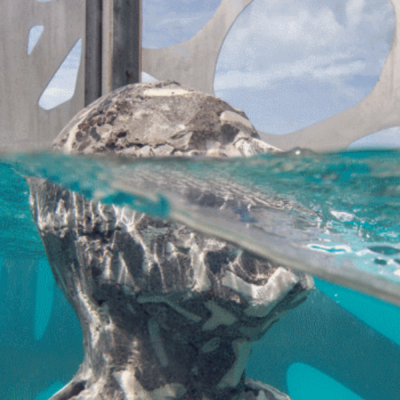 An Underwater Sculpture in the Maldives Is the Perfect Monument to Climate Change