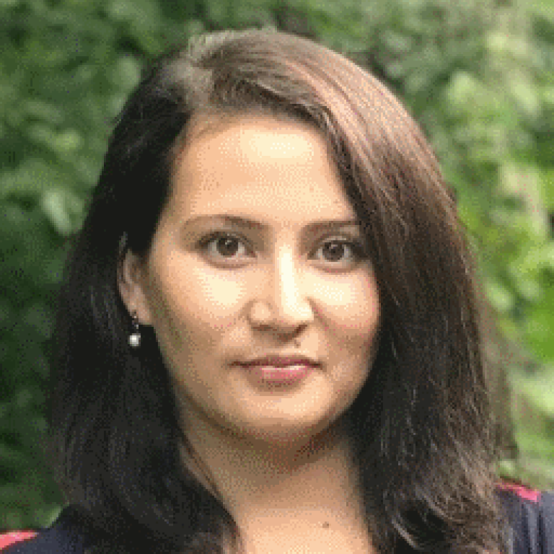 She Was a Refugee From Afghanistan. She May Soon Enter the New Hampshire Legislature.