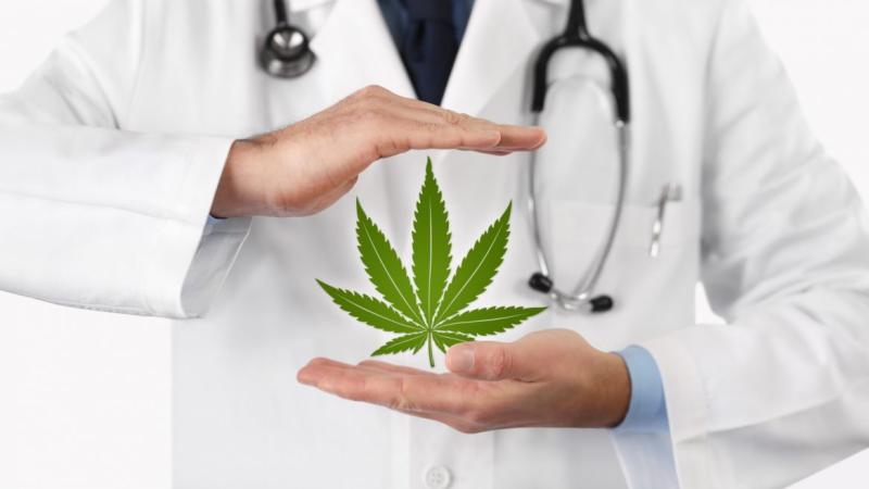 Israeli scientists are exploring cannabis as a treatment, or even cure, for conditions ranging from cancer to Parkinson’s, asthma, insomnia, PTSD, epilepsy and IBS.