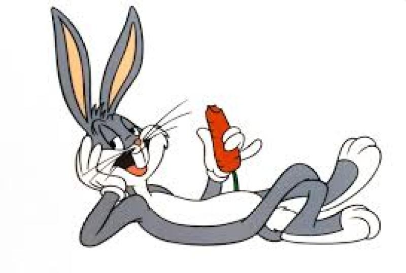 I would vote for Bugs Bunny before I voted for these two idiots!