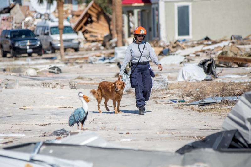 With Sniffer Dogs and Hope, Rescue Teams Comb Through Hurricane Michael Damage