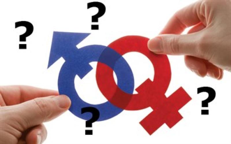 Sex, gender two different things – a 'foundational lie'