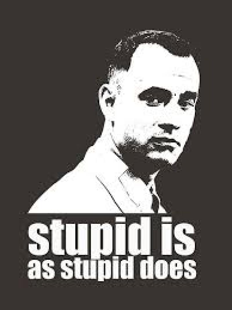 "Stupid is as Stupid Does" _ Mama Gump