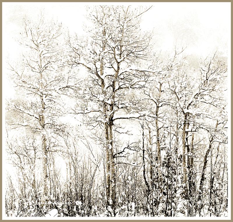 Woodland Snow Scene and More … Creative Arts Thursday/Friday