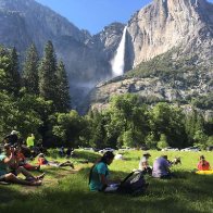 Garbage, feces take toll on national parks amid shutdown 