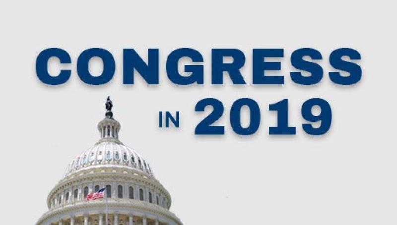 Congress in 2019: A brief history of congressional investigations