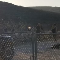 Just an average day of facing down Illegal Aliens on my property