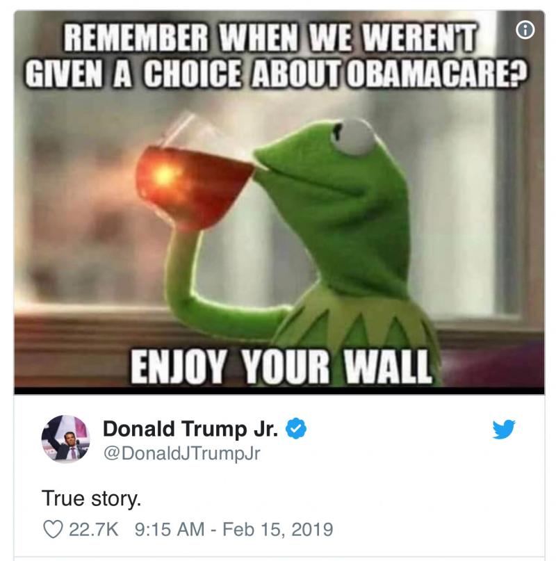 Donald Trump Jr. Delivers Yet Another Spectacular Self-Own On Twitter