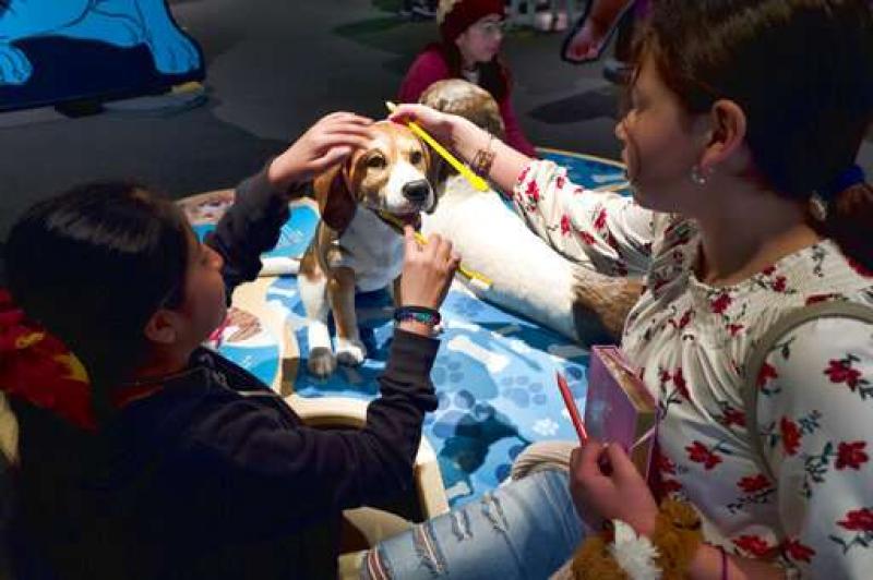 California science exhibit explains the dog-human friendship
