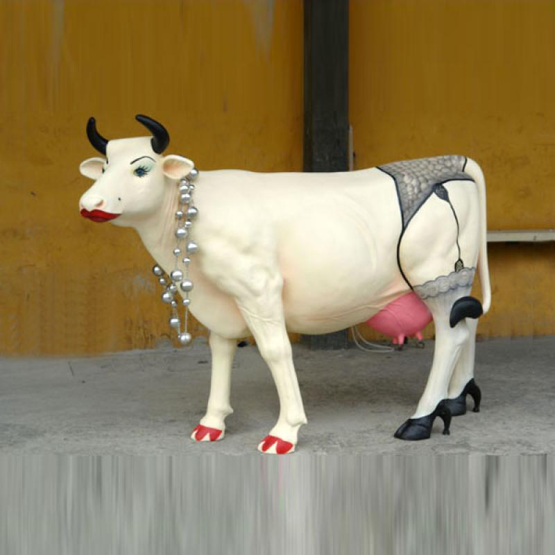 Adult Cow Teen