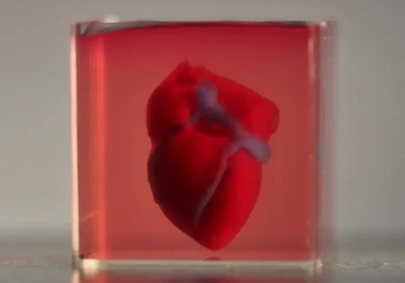 ISRAELI SCIENTISTS 'PRINT' WORLD'S FIRST 3D HEART WITH HUMAN TISSUE