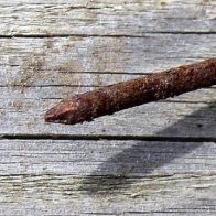 What Is Tetanus, Anyway? 