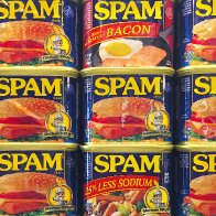 What Is SPAM, Anyway?