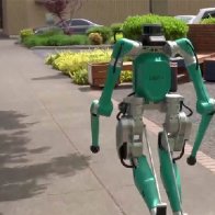 Is this package-carrying robot the future of home deliveries?