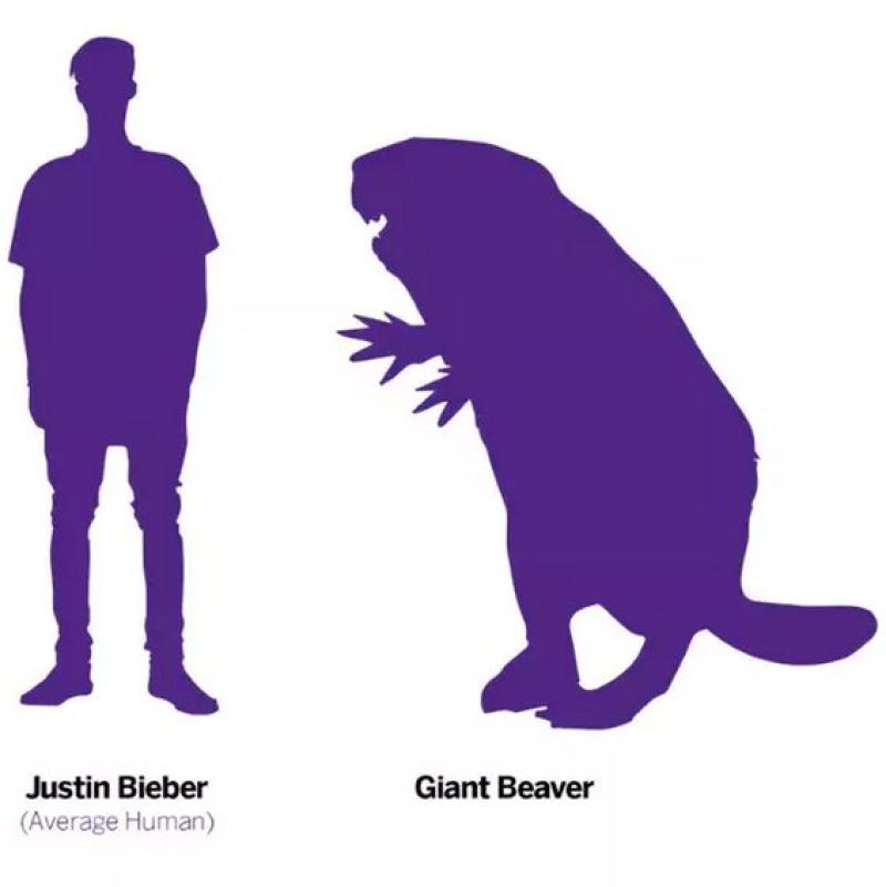 Why giant human-sized beavers died out 10,000 years ago