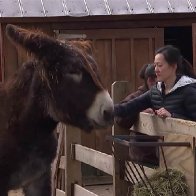 Aspiring doctors learn at the zoo in unique medical school program