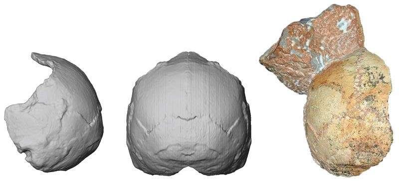 Greek find called earliest sign of our species out of Africa 