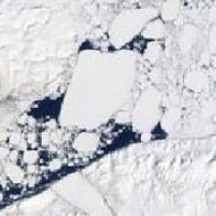 The Gateway Protecting the Arctic's Oldest Sea Ice Has Collapsed Months Ahead of Schedule