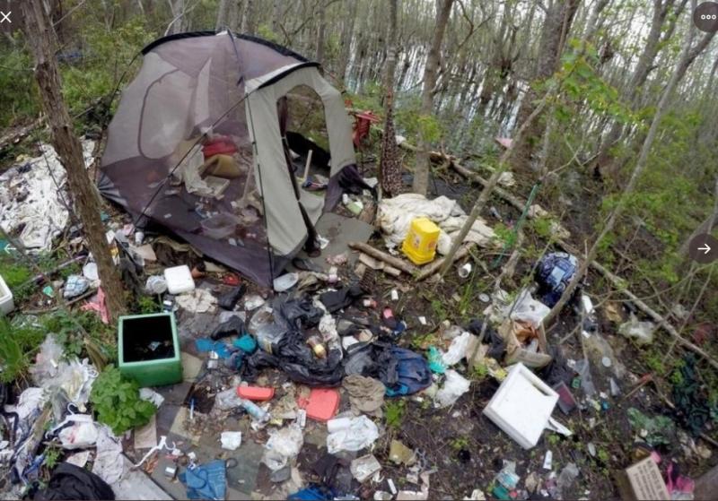 Cummings’ supporters post pics of poverty-stricken GOP-run districts in response to Trump