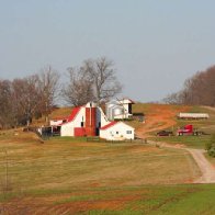 Why Farmers Aren’t Going To Abandon Trump Over The Trade War