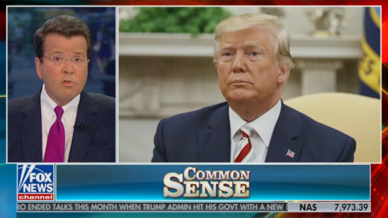 Fox News’s Neil Cavuto calls out Trump on his own fake news