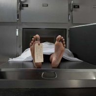 Human bodies keep moving for more than a year after death, researcher finds