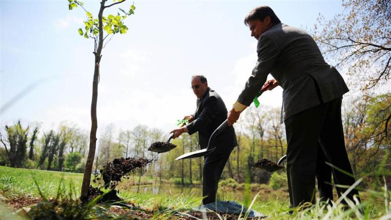 NASA took tree seeds into space nearly 50 years ago. Here's what happened to them.