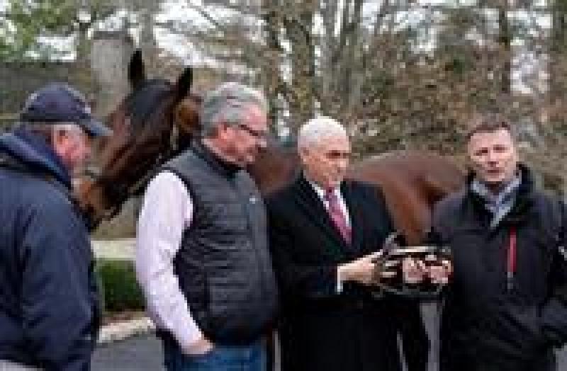 Mike Pence says American Pharoah the horse bit him, but the Triple Crown winner's farm manager says otherwise 