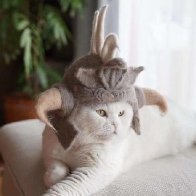 This Japanese Artist Creates Hats For Cats Made From Their Own Hair