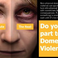 Overview of Intimate Partner Violence [aka domestic violence)